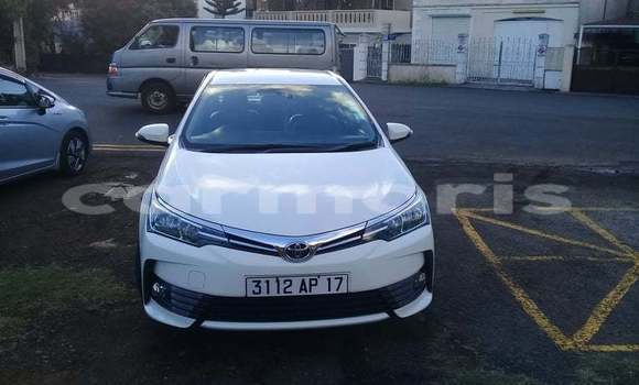 Buy Used Toyota Corolla White Car in Beau Bassin–Rose Hill in Plaines Wilhems District Buy Used Toyota Corolla White Car in Beau Bassin–Rose Hill in Plaines Wilhems District