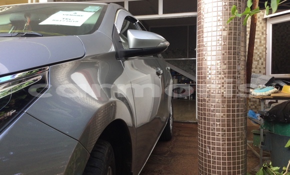 Buy New Toyota Corolla Silver Car in Port Louis in Port Louis District Buy New Toyota Corolla Silver Car in Port Louis in Port Louis District