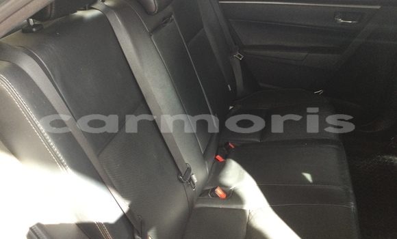 Buy New Toyota Corolla Silver Car in Port Louis in Port Louis District Buy New Toyota Corolla Silver Car in Port Louis in Port Louis District