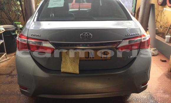 Buy New Toyota Corolla Silver Car in Port Louis in Port Louis District Buy New Toyota Corolla Silver Car in Port Louis in Port Louis District