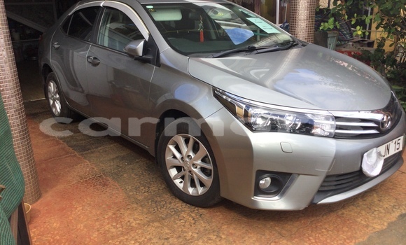 Buy New Toyota Corolla Silver Car in Port Louis in Port Louis District Buy New Toyota Corolla Silver Car in Port Louis in Port Louis District