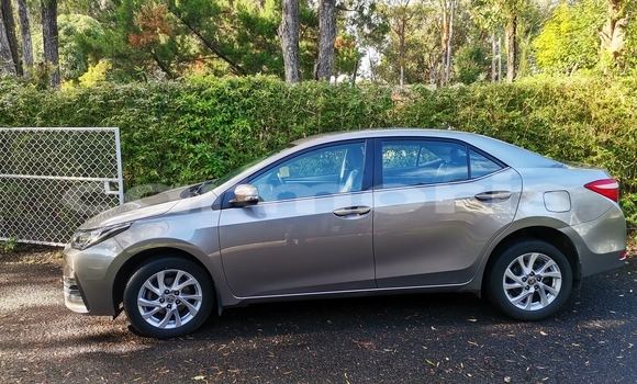 Buy Used Toyota Corolla Other Car in Vacoas–Phoenix in Plaines Wilhems District Buy Used Toyota Corolla Other Car in Vacoas–Phoenix in Plaines Wilhems District
