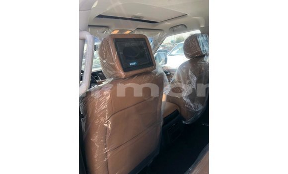 Buy Import Nissan Patrol White Car in Import - Dubai in Agalega Islands Buy Import Nissan Patrol White Car in Import - Dubai in Agalega Islands