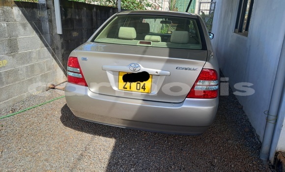 Buy Used Toyota Corolla Beige Car in Terre Rouge in Pamplempousses Buy Used Toyota Corolla Beige Car in Terre Rouge in Pamplempousses