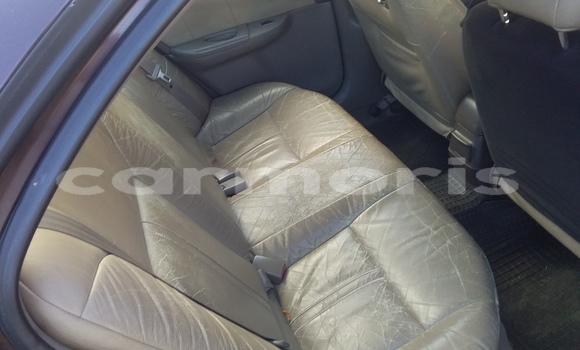 Buy Used Nissan Sunny Brown Car in Chemin Grenier in Savanne Buy Used Nissan Sunny Brown Car in Chemin Grenier in Savanne