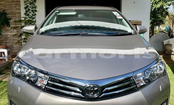 Buy New Toyota Corolla Brown Car in Mahébourg in Grand Port District Buy New Toyota Corolla Brown Car in Mahébourg in Grand Port District