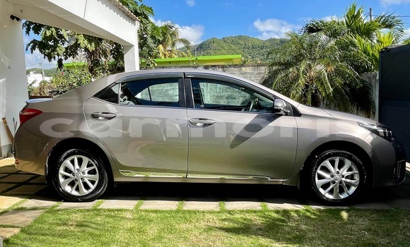 Buy New Toyota Corolla Brown Car in Mahébourg in Grand Port District Buy New Toyota Corolla Brown Car in Mahébourg in Grand Port District