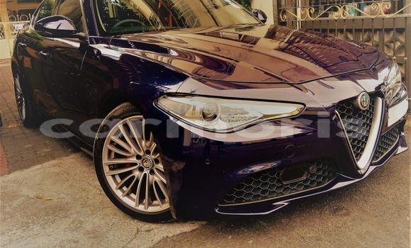 Buy Used Alfa Romeo Giulia Other Car in Beau Bassin–Rose Hill in Plaines Wilhems District Buy Used Alfa Romeo Giulia Other Car in Beau Bassin–Rose Hill in Plaines Wilhems District