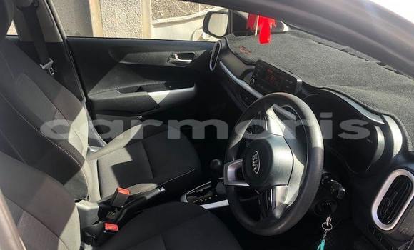 Buy Used Kia Picanto Silver Car in Port Louis in Port Louis District Buy Used Kia Picanto Silver Car in Port Louis in Port Louis District