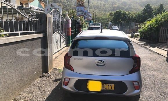 Buy Used Kia Picanto Silver Car in Port Louis in Port Louis District Buy Used Kia Picanto Silver Car in Port Louis in Port Louis District