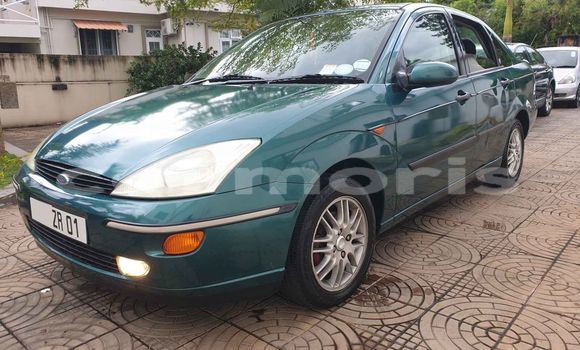 Buy Used Ford Focus Green Car in Quatre Bornes in Plaines Wilhems District Buy Used Ford Focus Green Car in Quatre Bornes in Plaines Wilhems District