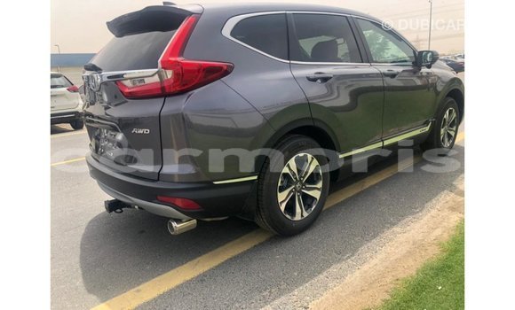 Buy Import Honda C Other Bike in Import - Dubai in Agalega Islands Buy Import Honda C Other Bike in Import - Dubai in Agalega Islands