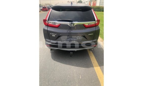 Buy Import Honda C Other Bike in Import - Dubai in Agalega Islands Buy Import Honda C Other Bike in Import - Dubai in Agalega Islands