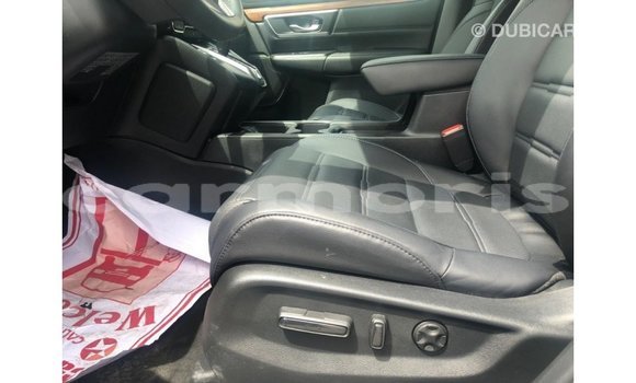 Buy Import Honda C Other Bike in Import - Dubai in Agalega Islands Buy Import Honda C Other Bike in Import - Dubai in Agalega Islands