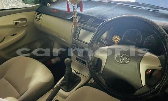 Buy Used Toyota Axio Brown Car in Port Louis in Port Louis District Buy Used Toyota Axio Brown Car in Port Louis in Port Louis District