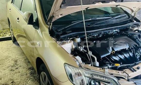 Buy Used Toyota Axio Brown Car in Port Louis in Port Louis District Buy Used Toyota Axio Brown Car in Port Louis in Port Louis District