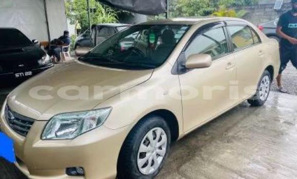 Buy Used Toyota Axio Brown Car in Port Louis in Port Louis District Buy Used Toyota Axio Brown Car in Port Louis in Port Louis District
