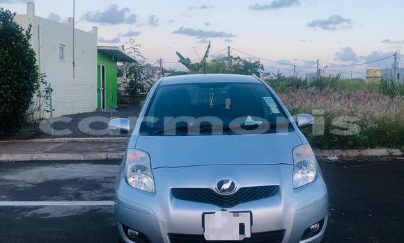 Buy Used Toyota Vitz Silver Car in Mahébourg in Grand Port District Buy Used Toyota Vitz Silver Car in Mahébourg in Grand Port District
