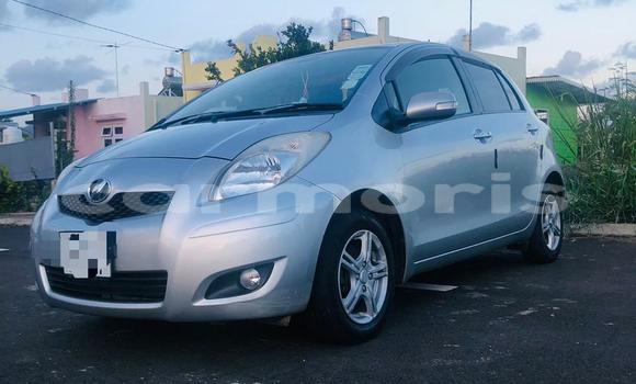 Buy Used Toyota Vitz Silver Car in Mahébourg in Grand Port District Buy Used Toyota Vitz Silver Car in Mahébourg in Grand Port District