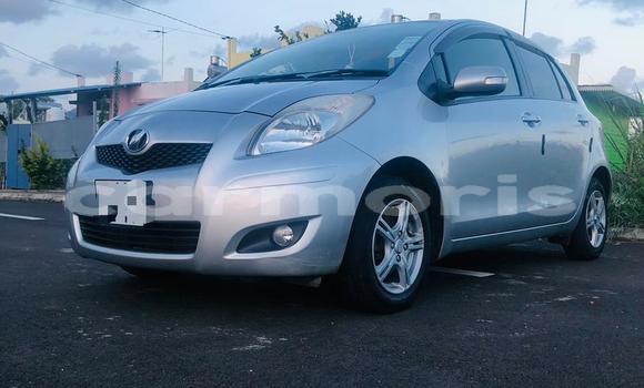 Buy Used Toyota Vitz Silver Car in Mahébourg in Grand Port District Buy Used Toyota Vitz Silver Car in Mahébourg in Grand Port District