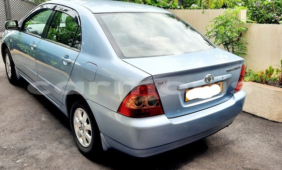 Buy Used Toyota Corolla Blue Car in Vacoas–Phoenix in Plaines Wilhems District Buy Used Toyota Corolla Blue Car in Vacoas–Phoenix in Plaines Wilhems District