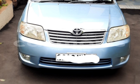 Buy Used Toyota Corolla Blue Car in Vacoas–Phoenix in Plaines Wilhems District Buy Used Toyota Corolla Blue Car in Vacoas–Phoenix in Plaines Wilhems District