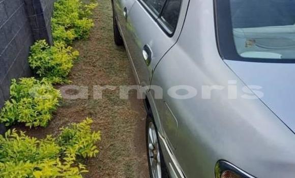 Buy Used Nissan Sunny Silver Car in Beau Bassin–Rose Hill in Plaines Wilhems District Buy Used Nissan Sunny Silver Car in Beau Bassin–Rose Hill in Plaines Wilhems District