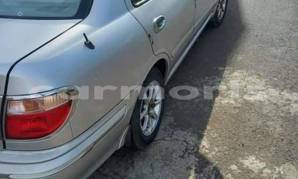 Buy Used Nissan Sunny Silver Car in Beau Bassin–Rose Hill in Plaines Wilhems District Buy Used Nissan Sunny Silver Car in Beau Bassin–Rose Hill in Plaines Wilhems District