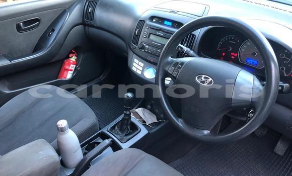 Buy Used Hyundai Elantra Black Car in Tamarin in Black River District Buy Used Hyundai Elantra Black Car in Tamarin in Black River District