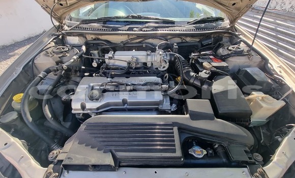 Buy Used Mazda 323 Beige Car in Curepipe in Plaines Wilhems District Buy Used Mazda 323 Beige Car in Curepipe in Plaines Wilhems District