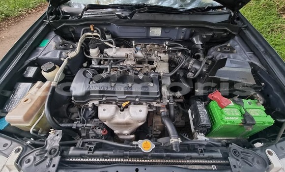 Buy Used Nissan Sunny Blue Car in Curepipe in Plaines Wilhems District Buy Used Nissan Sunny Blue Car in Curepipe in Plaines Wilhems District