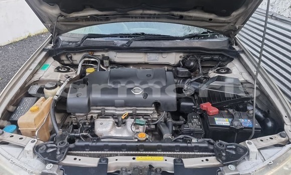 Buy Used Nissan Sunny Brown Car in Curepipe in Plaines Wilhems District Buy Used Nissan Sunny Brown Car in Curepipe in Plaines Wilhems District