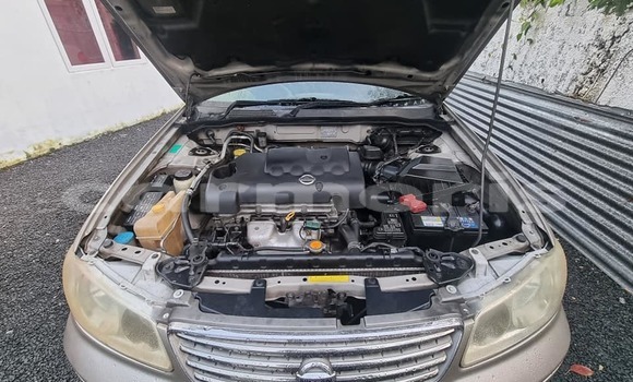 Buy Used Nissan Sunny Brown Car in Curepipe in Plaines Wilhems District Buy Used Nissan Sunny Brown Car in Curepipe in Plaines Wilhems District