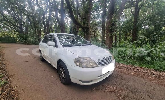 Buy Used Toyota Corolla White Car in Curepipe in Plaines Wilhems District Buy Used Toyota Corolla White Car in Curepipe in Plaines Wilhems District