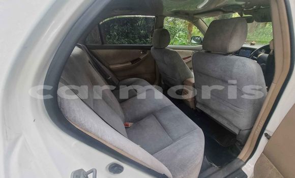 Buy Used Toyota Corolla White Car in Curepipe in Plaines Wilhems District Buy Used Toyota Corolla White Car in Curepipe in Plaines Wilhems District