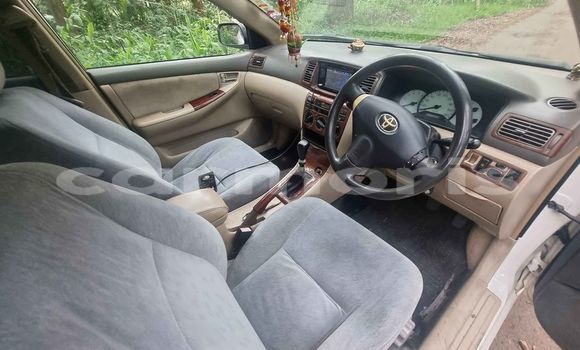 Buy Used Toyota Corolla White Car in Curepipe in Plaines Wilhems District Buy Used Toyota Corolla White Car in Curepipe in Plaines Wilhems District