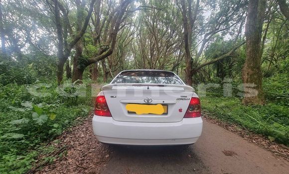 Buy Used Toyota Corolla White Car in Curepipe in Plaines Wilhems District Buy Used Toyota Corolla White Car in Curepipe in Plaines Wilhems District