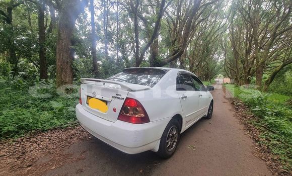 Buy Used Toyota Corolla White Car in Curepipe in Plaines Wilhems District Buy Used Toyota Corolla White Car in Curepipe in Plaines Wilhems District