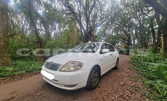 Buy Used Toyota Corolla White Car in Curepipe in Plaines Wilhems District Buy Used Toyota Corolla White Car in Curepipe in Plaines Wilhems District