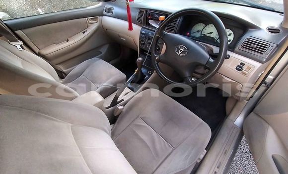 Buy Used Toyota Corolla Silver Car in Curepipe in Plaines Wilhems District Buy Used Toyota Corolla Silver Car in Curepipe in Plaines Wilhems District