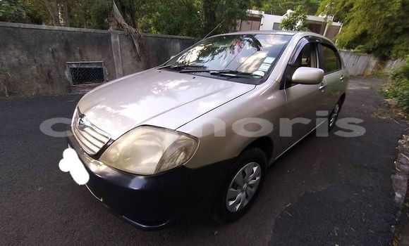Buy Used Toyota Corolla Silver Car in Curepipe in Plaines Wilhems District Buy Used Toyota Corolla Silver Car in Curepipe in Plaines Wilhems District