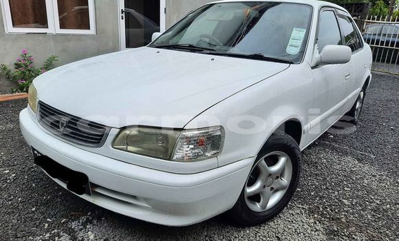 Buy Used Toyota Corolla White Car in Curepipe in Plaines Wilhems District Buy Used Toyota Corolla White Car in Curepipe in Plaines Wilhems District
