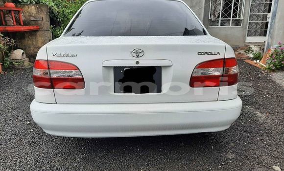Buy Used Toyota Corolla White Car in Curepipe in Plaines Wilhems District Buy Used Toyota Corolla White Car in Curepipe in Plaines Wilhems District