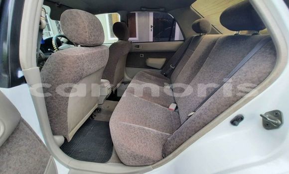 Buy Used Toyota Corolla White Car in Curepipe in Plaines Wilhems District Buy Used Toyota Corolla White Car in Curepipe in Plaines Wilhems District