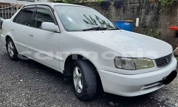 Buy Used Toyota Corolla White Car in Curepipe in Plaines Wilhems District Buy Used Toyota Corolla White Car in Curepipe in Plaines Wilhems District