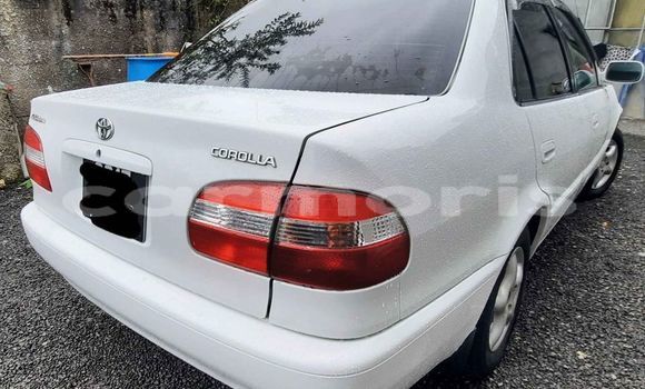 Buy Used Toyota Corolla White Car in Curepipe in Plaines Wilhems District Buy Used Toyota Corolla White Car in Curepipe in Plaines Wilhems District