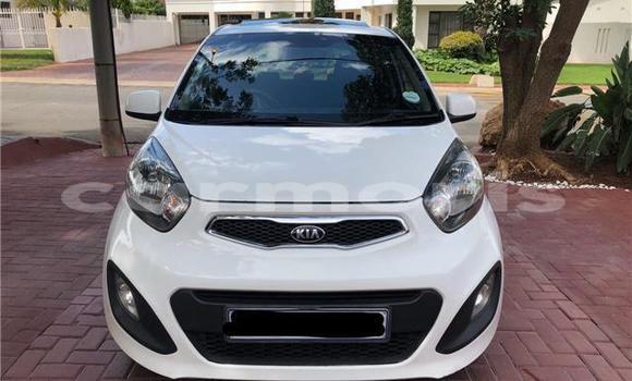 Buy Used Kia Picanto White Car in Floreal in Floreal