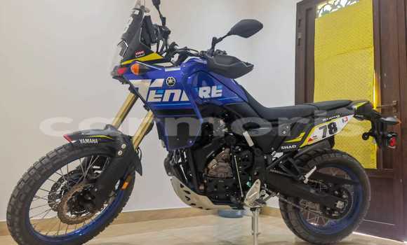 Buy Used Yamaha TENERE Blue Bike in Bel Ombre in Savanne