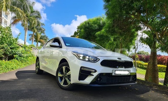 Buy Used Kia Cerato White Car in Vacoas–Phoenix in Plaines Wilhems District