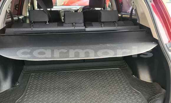Buy Used Toyota RAV4 Red Car in Vacoas–Phoenix in Plaines Wilhems District Buy Used Toyota RAV4 Red Car in Vacoas–Phoenix in Plaines Wilhems District